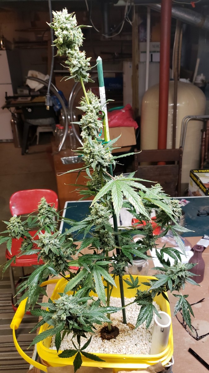 16111031131001917230434871685048