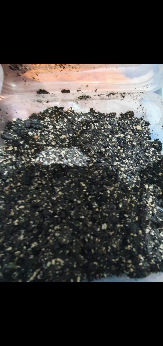 Screenshot_20210122-132343_Gallery