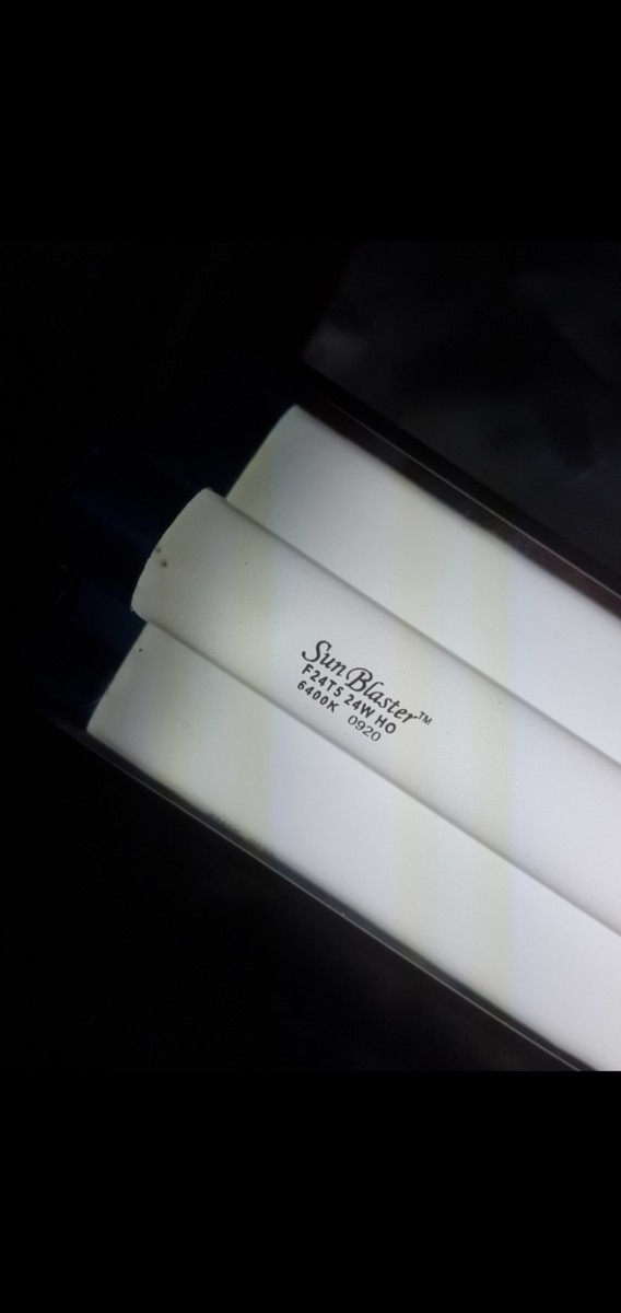 Screenshot_20210124-150314_Gallery