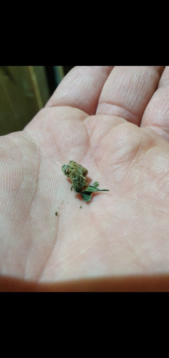 Screenshot_20210124-150243_Gallery