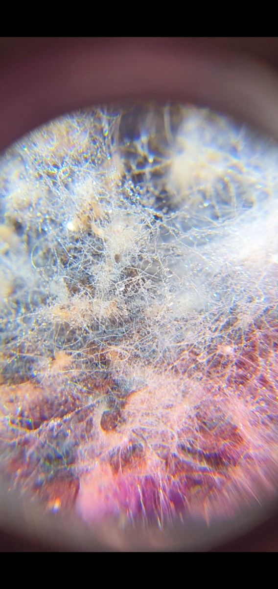 Screenshot_20210124-200339_Gallery