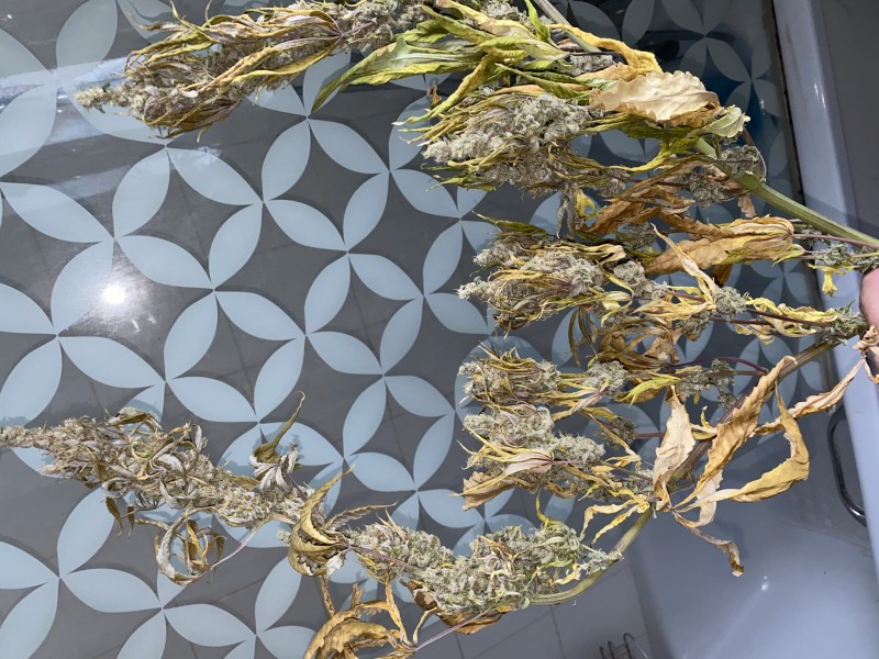 837663A8-23BB-4C26-9165-EA200ED5AF21