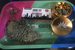 01B41D9A-F621-4DC5-860A-B8BA8589ECE0