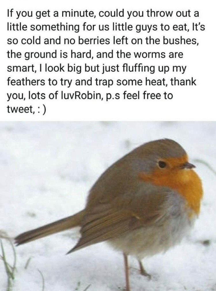 A6E8FB8B-B1BB-46C2-88D1-0A869B02994D