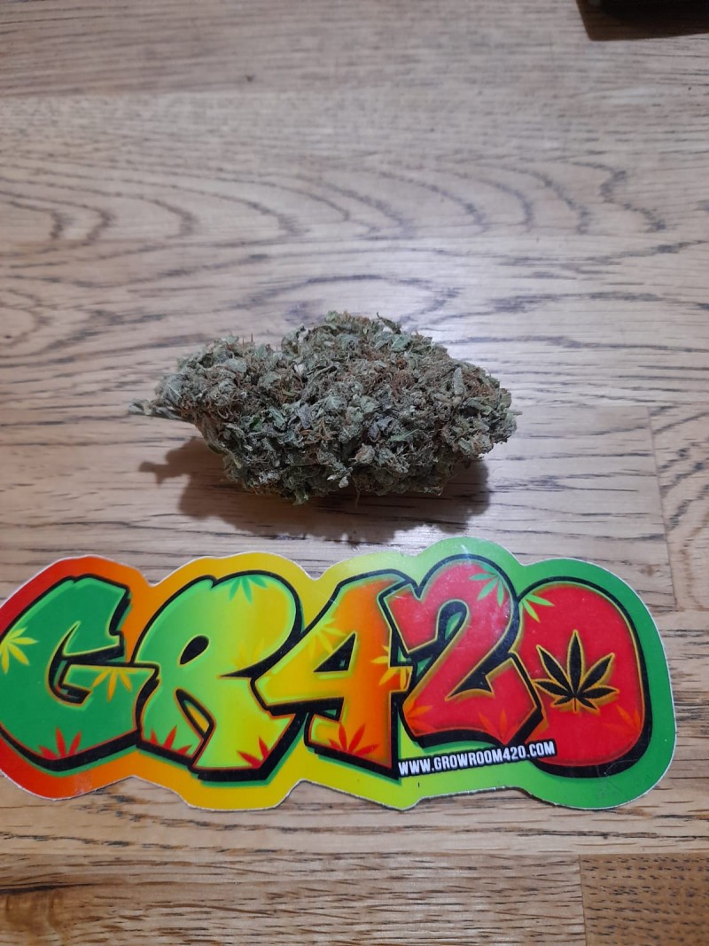 8E89C667-FEDC-4F01-A1F0-7415289F9F95