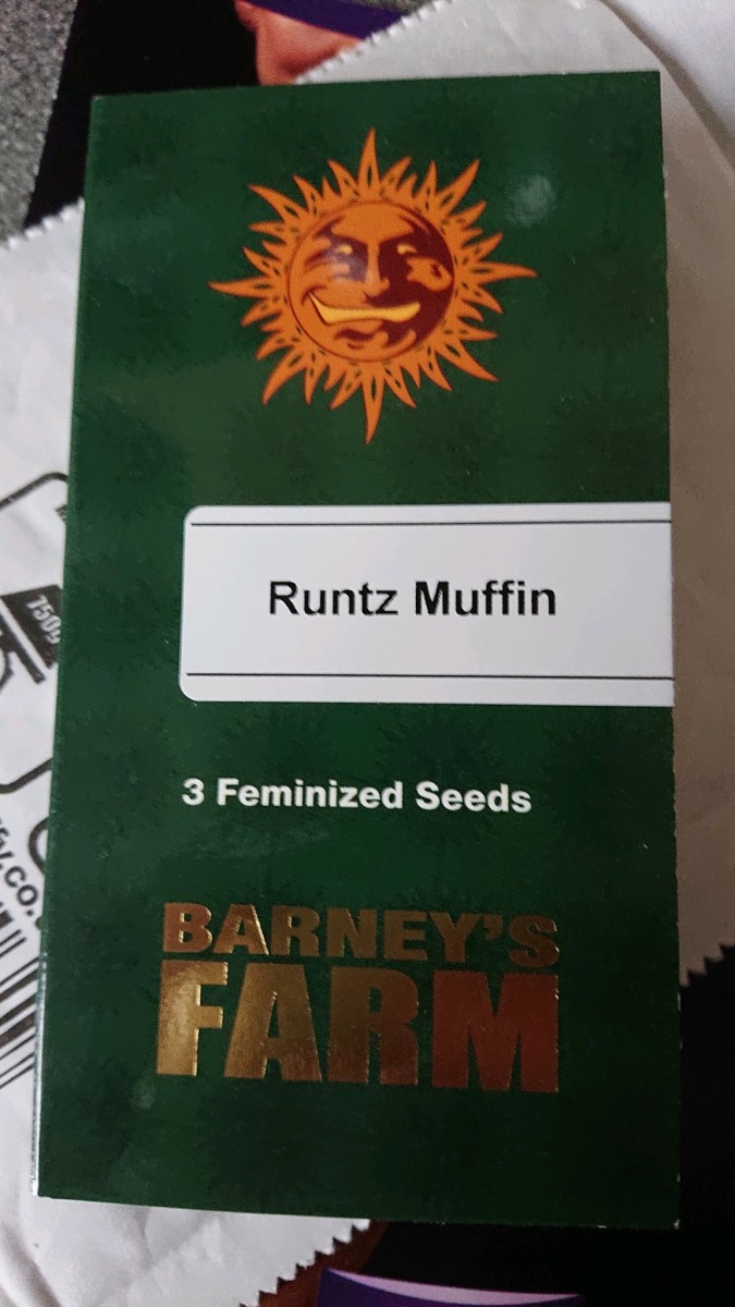 obscura1611846969528