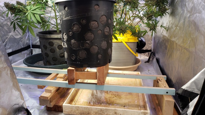 1611949409147145327919689290241