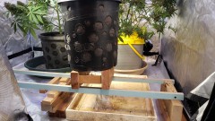 1611949409147145327919689290241