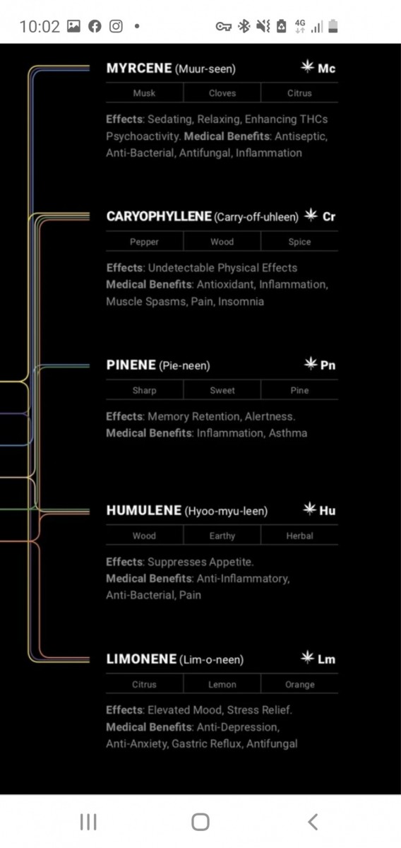 Screenshot_20210129-100247_Chrome