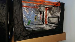 obscura1612194150710