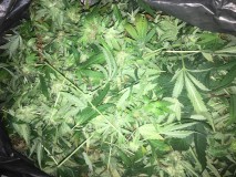 5FBFE1B2-6557-45B5-9D2F-55282DD7609A