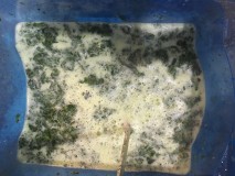 E1D83560-9FEF-4D8B-BA7B-9DF6835FD9FB