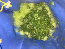 D9CD1049-5055-4661-8D28-29D145A9E6BD