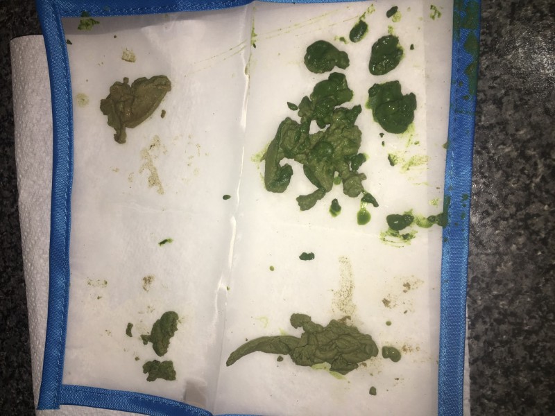 AD5312C1-7737-4607-9EDD-24D36B8729BA