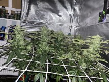 C8650ED8-750B-4DC4-9385-425660F1535A