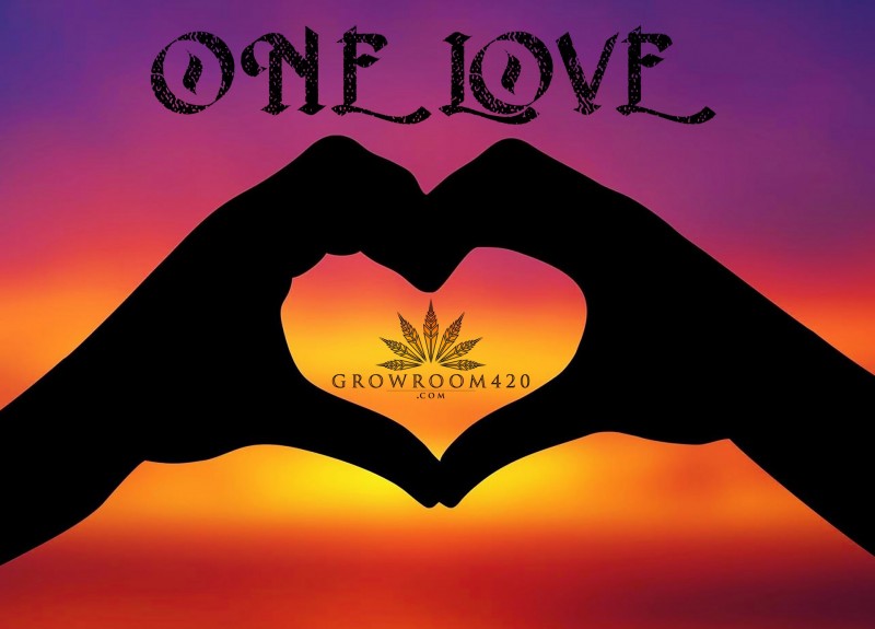 mn one love gr420