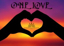 mn one love gr420