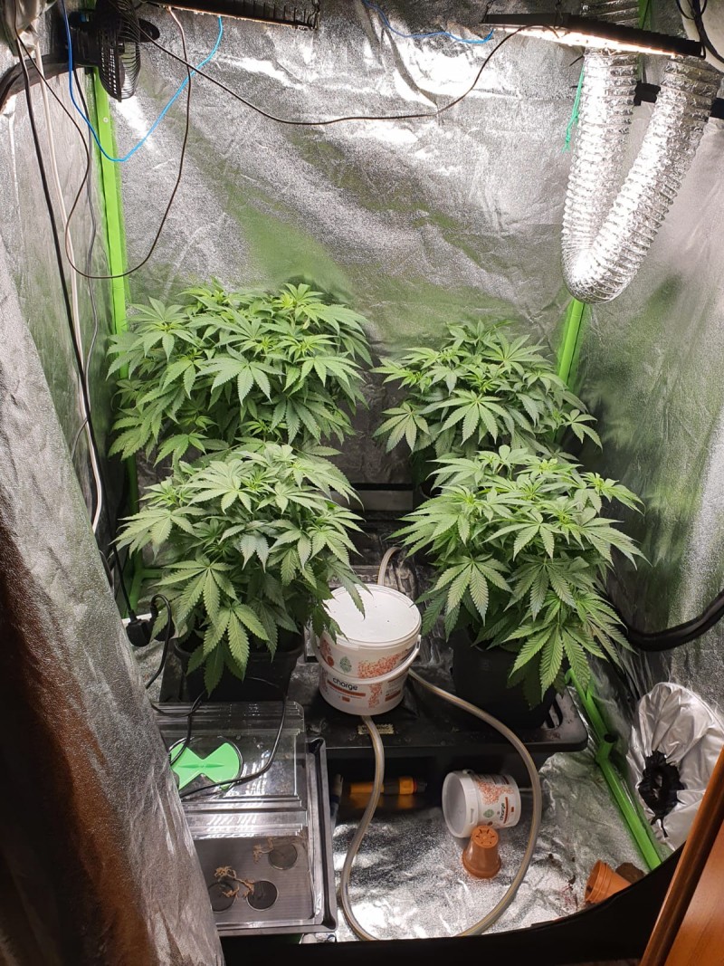 WhatsApp Image 2021-02-03 at 18.57.13 (1)