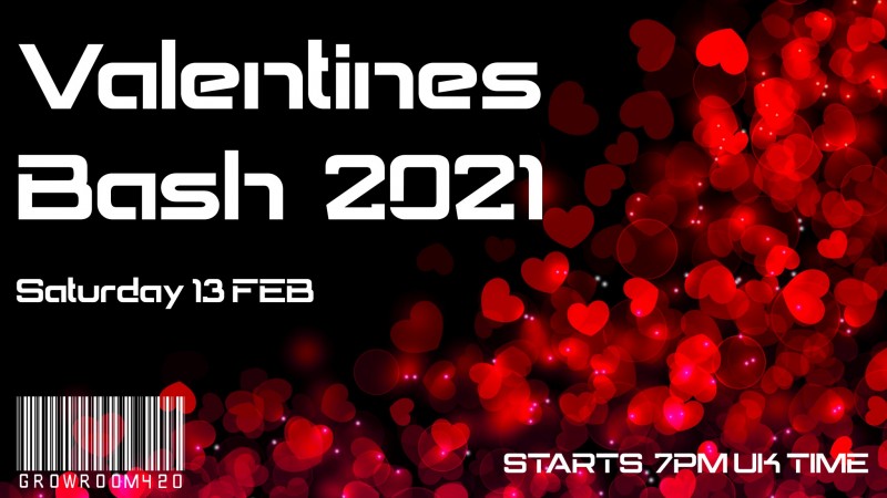 mn valentines bash club class