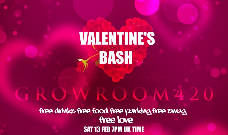 mn valentines bash rose heart