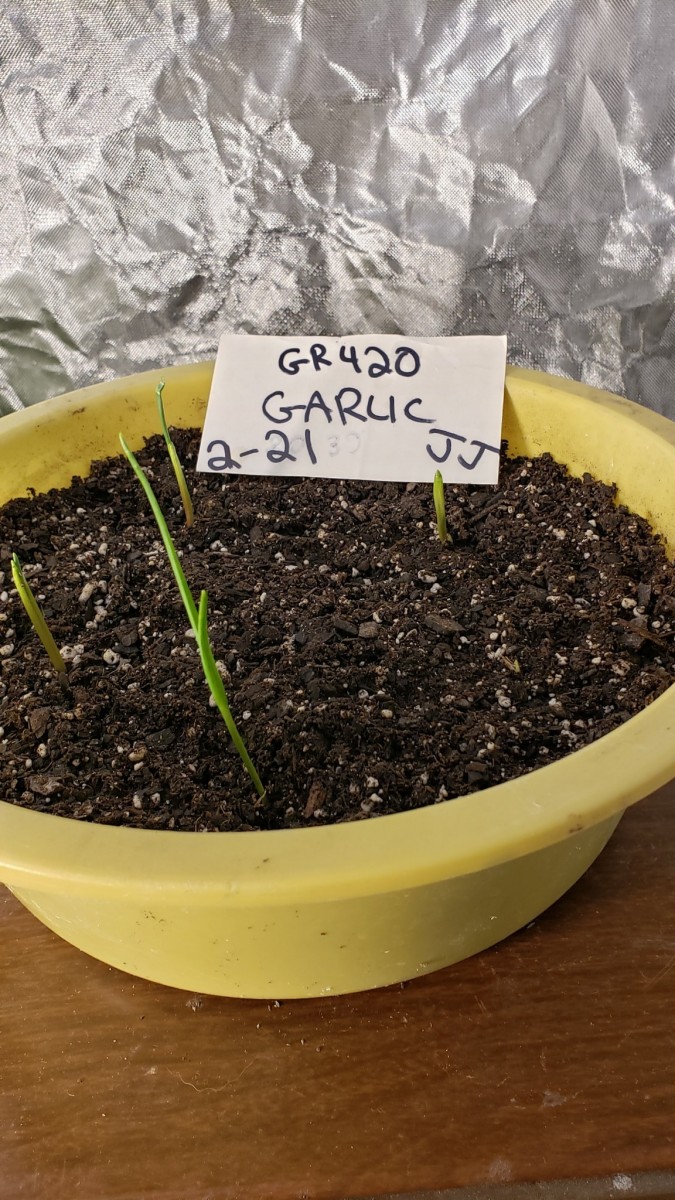 16130110475096420244910592614238