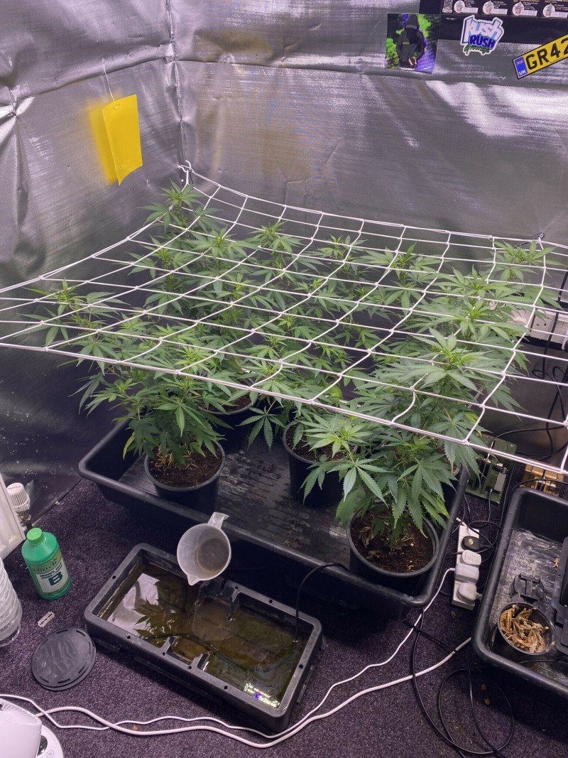 2843A733-3143-4BF7-A682-47575BD082BD