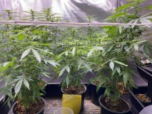 C6FECA4A-7215-462A-9A04-435410313BDF