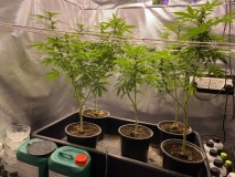 AE45A97F-5F45-4111-B337-40A1F77A872D