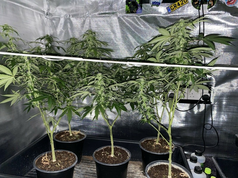 CFA30878-E39B-4980-A820-E67E56B50E81