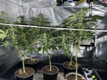 CFA30878-E39B-4980-A820-E67E56B50E81