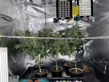 A70AA8DA-DEE3-46AF-B697-78CAC074C8E6