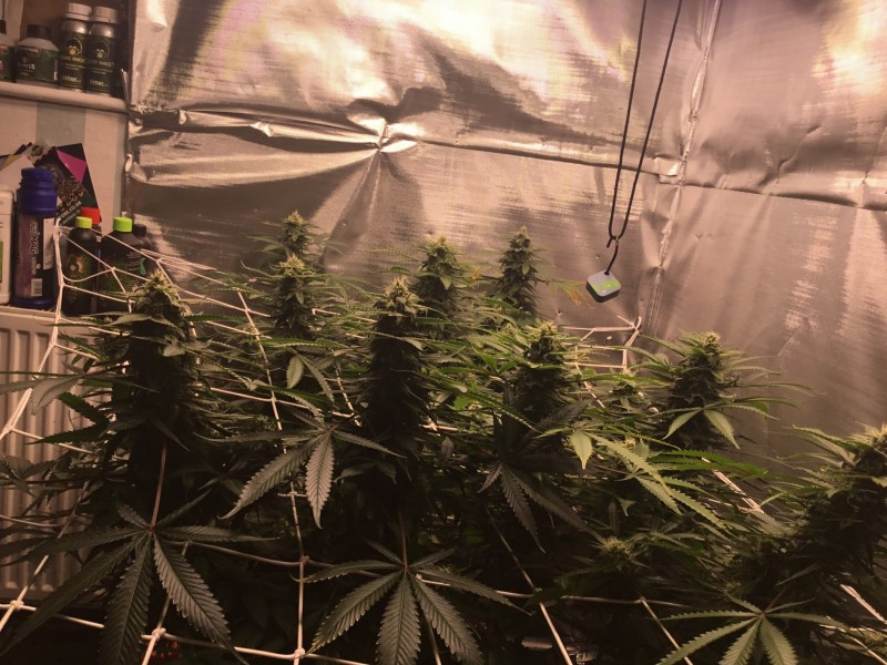 94ED7361-48E5-4685-9E3E-5370B2774D55