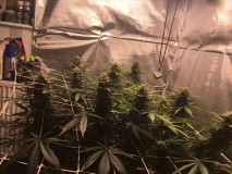 94ED7361-48E5-4685-9E3E-5370B2774D55