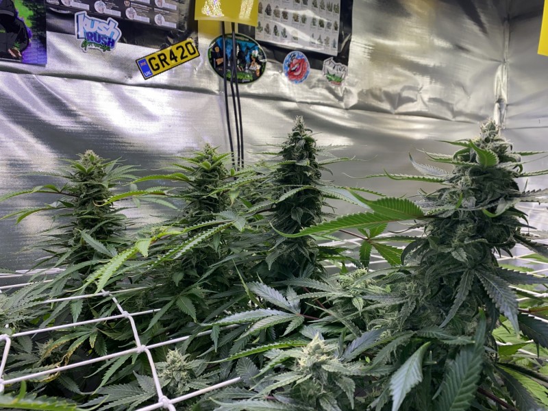 9C86F82D-BA9C-4774-8F44-FB4A56DBBFCC