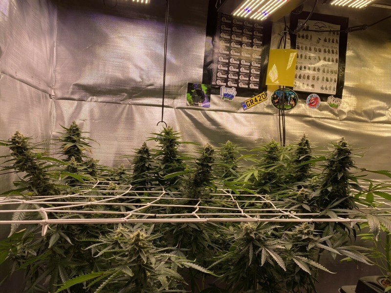 3FCE0BC5-B5E2-4A14-8FC2-AAD551A9DC01