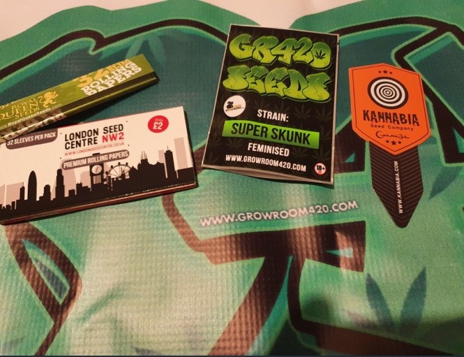 2D51C13E-5A19-4E06-A28C-559241E568A9