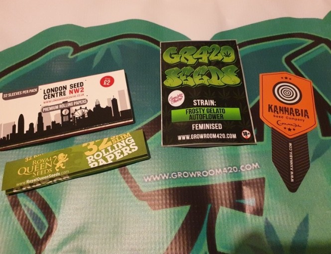 6D2DDBFF-3117-4AA9-BC7F-CBBCA2F190EA