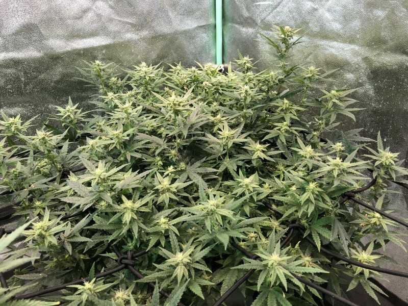 878D7FC5-6993-47D0-9788-A8E0ED6403BF