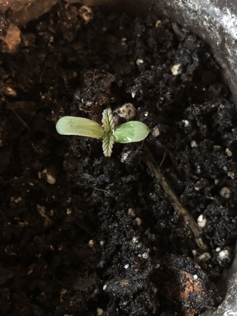 6DAF6ED3-A659-4401-A9BD-96BA955E6AB3