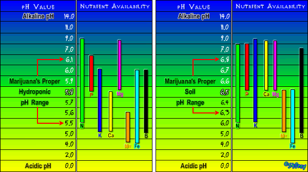 Nutrient_Chart2