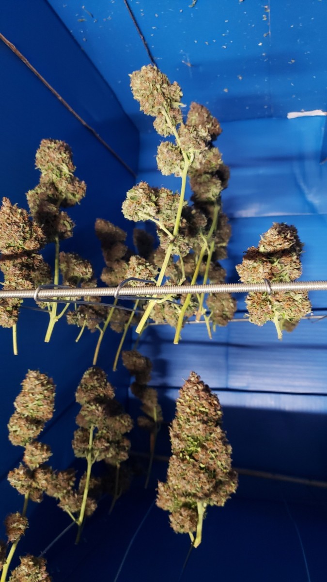 16133403442638545873748376009405