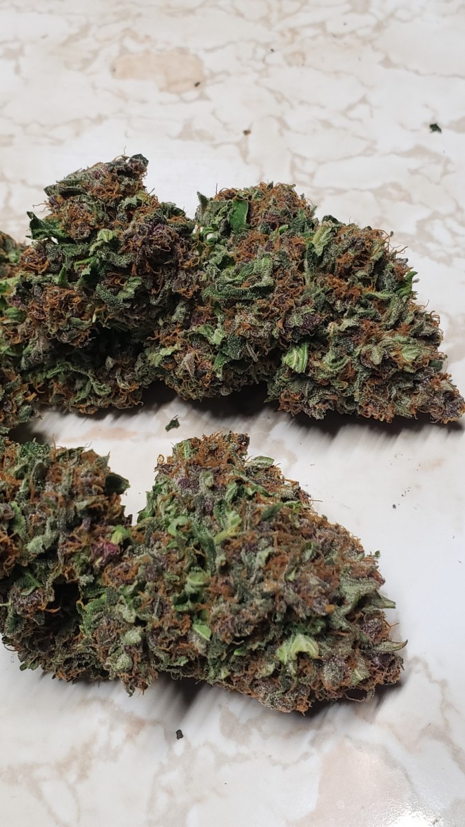 16133409757415431948081610646409