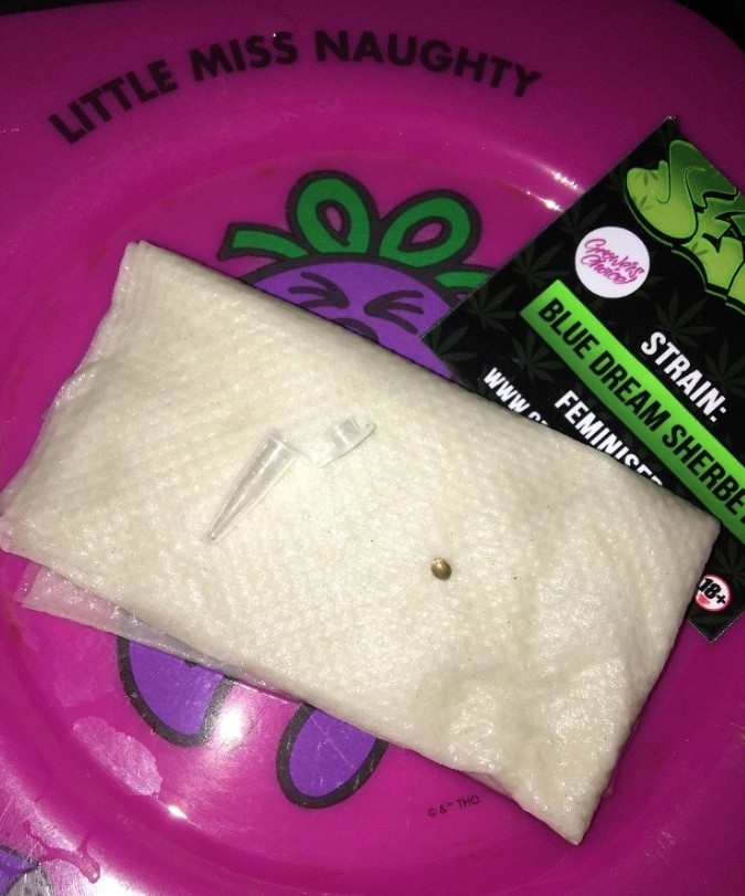 30021884-DDB9-4C7D-B372-DD14AEB2D173