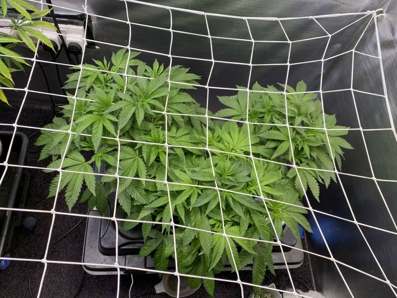 F803A86B-B51E-4A93-AD20-50A20B1F0C46