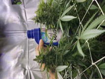 307387AC-7C44-42B0-A2AC-ED6159936B69