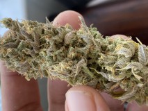 B79F339D-EDF7-4DD2-B578-3594278EEE5F