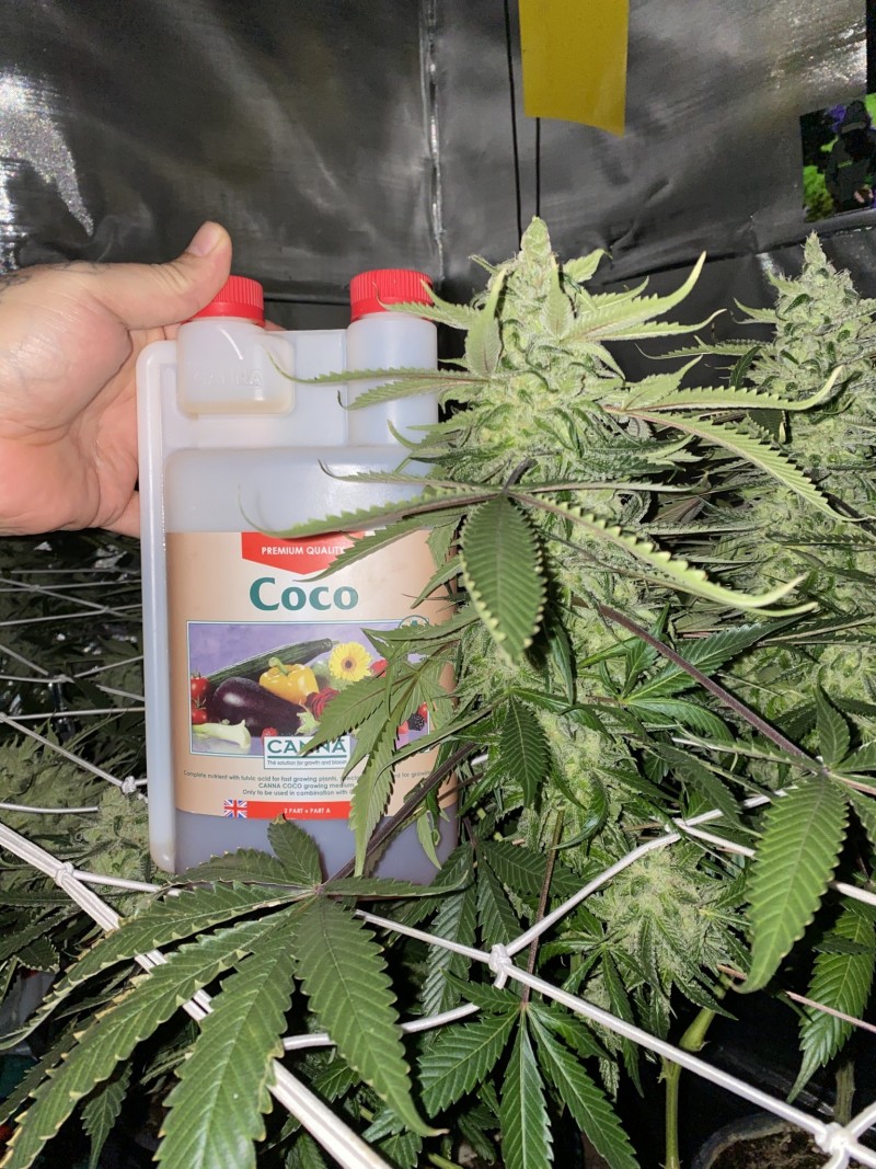 A31BE706-93E3-467D-996B-309D64F262F7