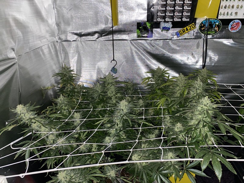 B755F165-7B41-43BC-874B-34384384A0C3