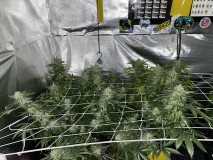 B755F165-7B41-43BC-874B-34384384A0C3