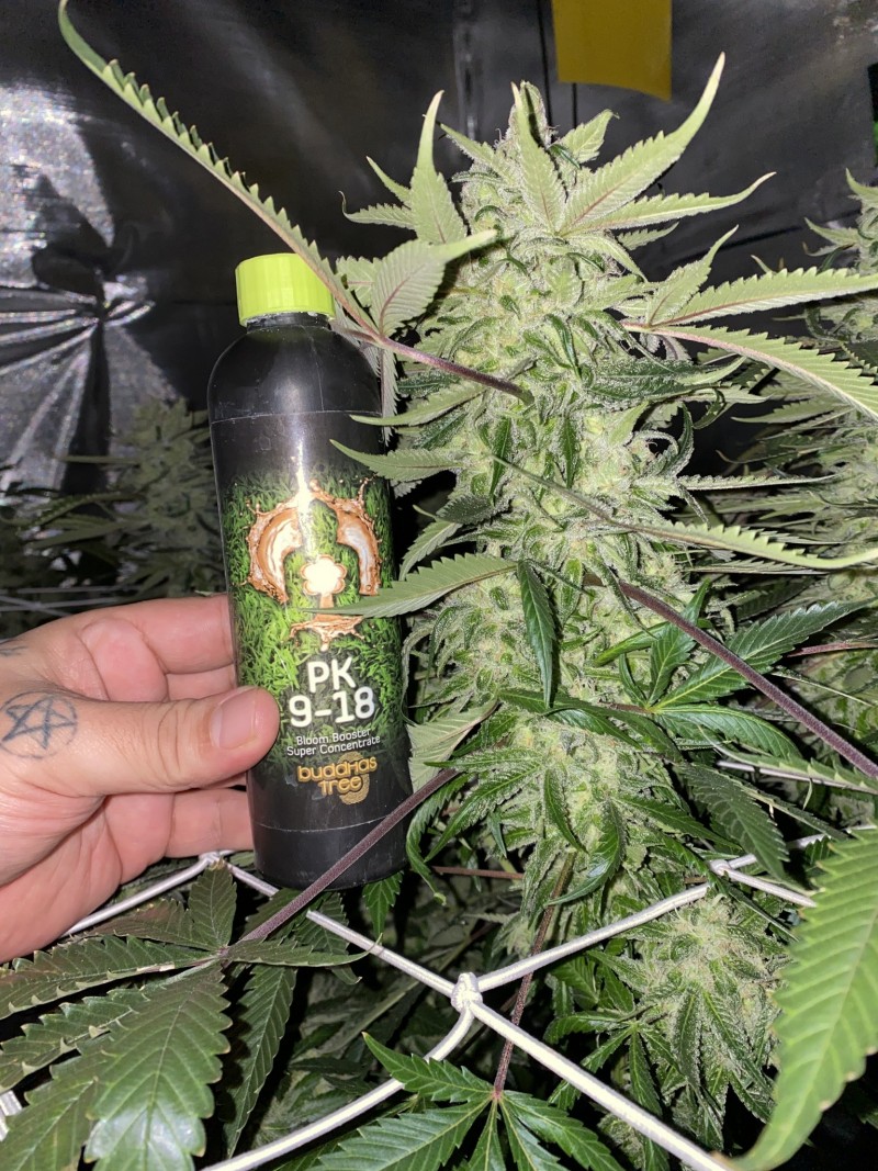 84F985B1-B33B-4866-AD67-2395D8A2A50C